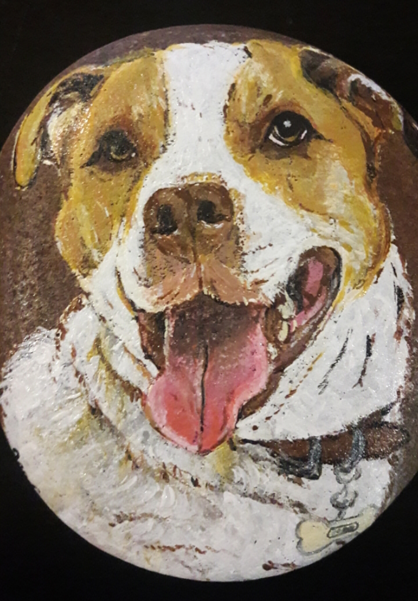 Two-toned dog portrait painted by request.