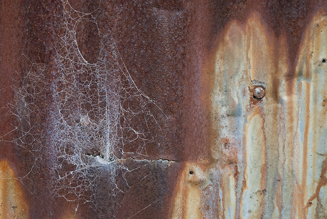rust and web