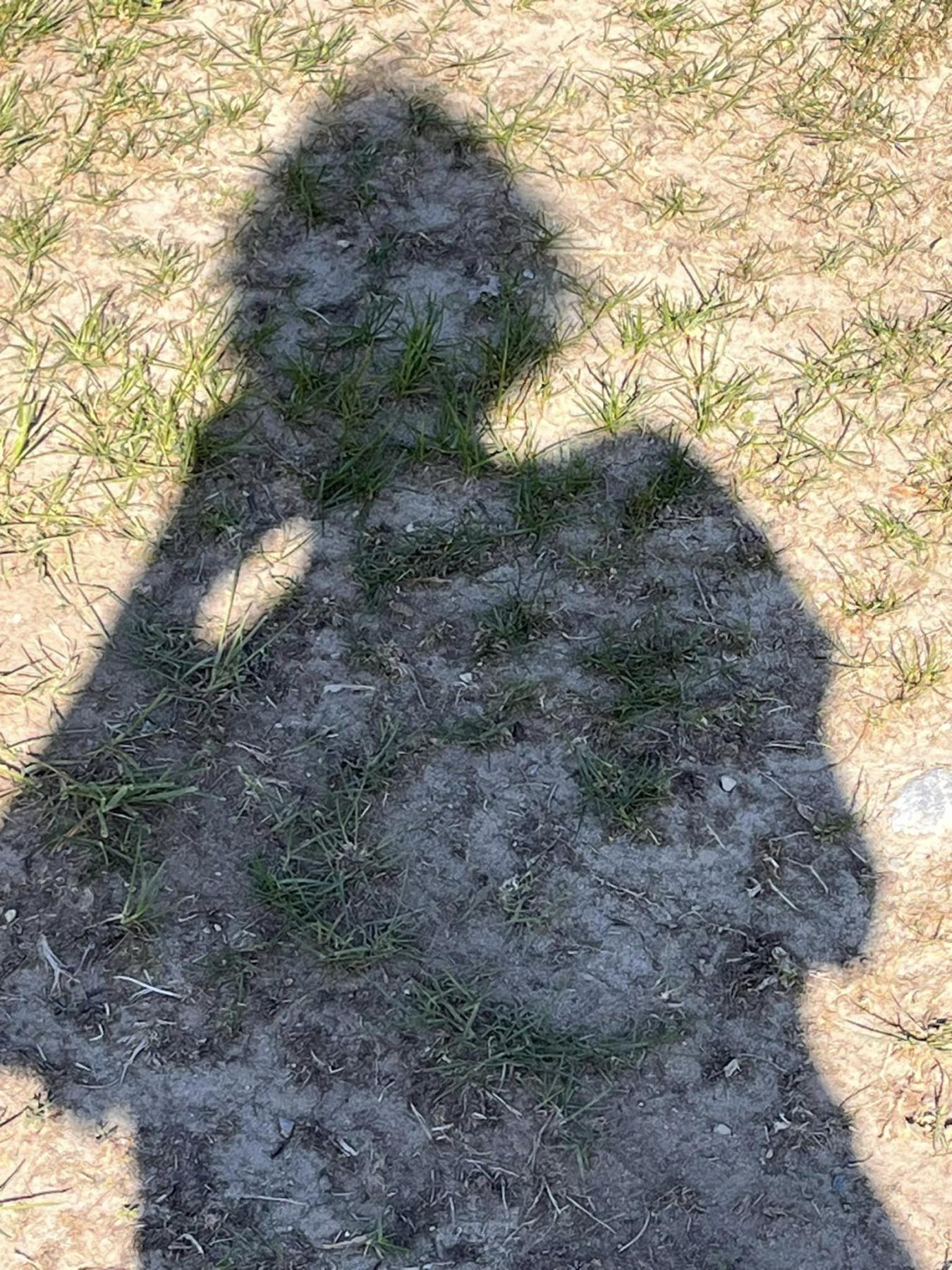 shadow of a person on the bare grass
