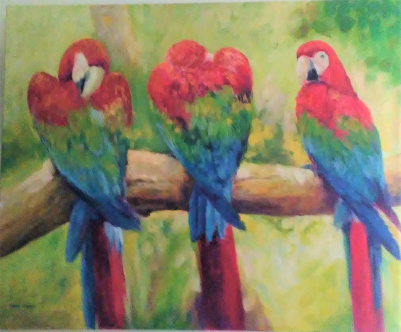 Three Tropical Macaos on a branch.