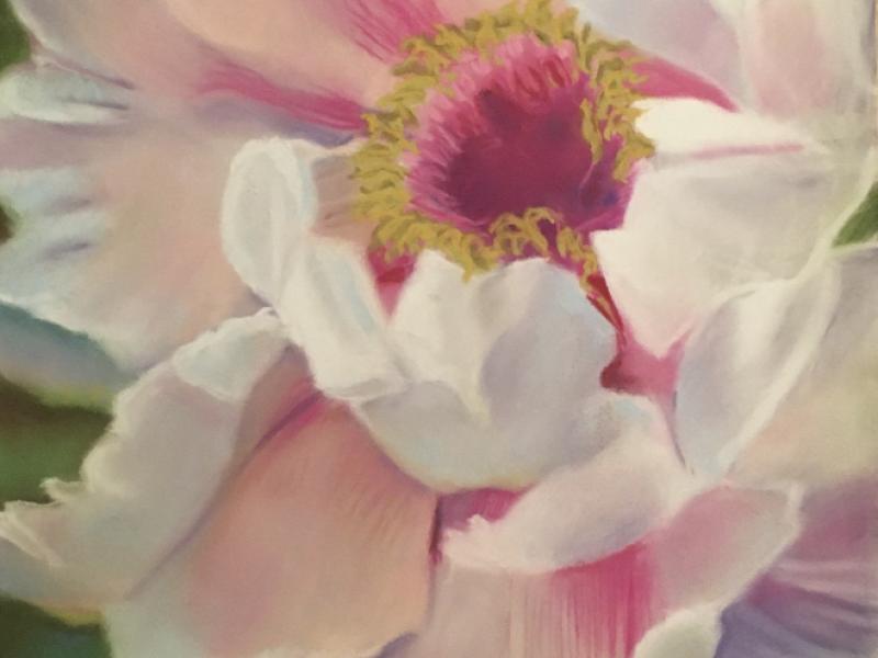 Carol Gooberman, Beautiful Bloom, Pastel