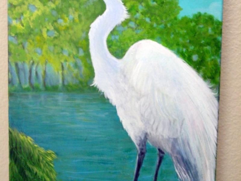 Great Egret in Laguna de Santa Rosa