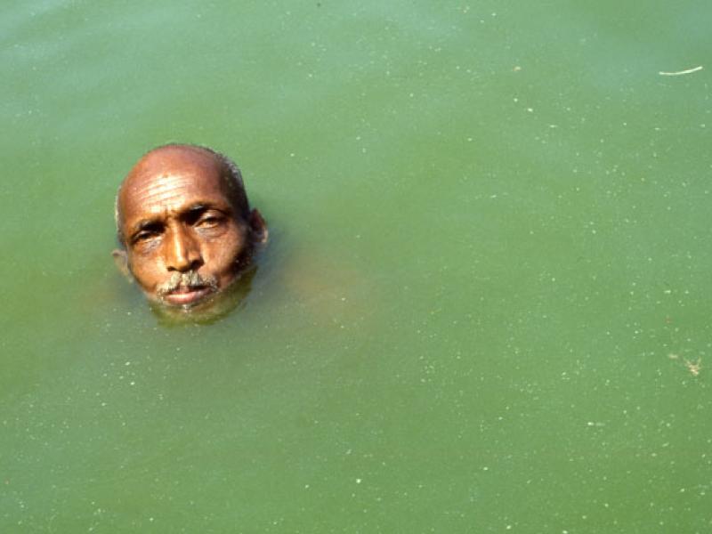 Head in green water