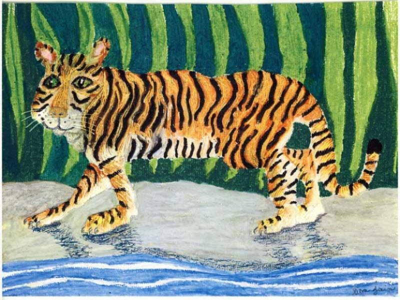 Tiger By The Stream