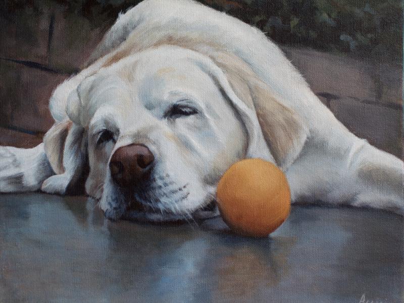 Sleeping White Labrador - acrylic on canvas