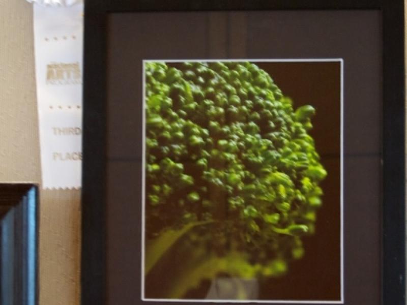 8th Annual Exhibit Broccolli