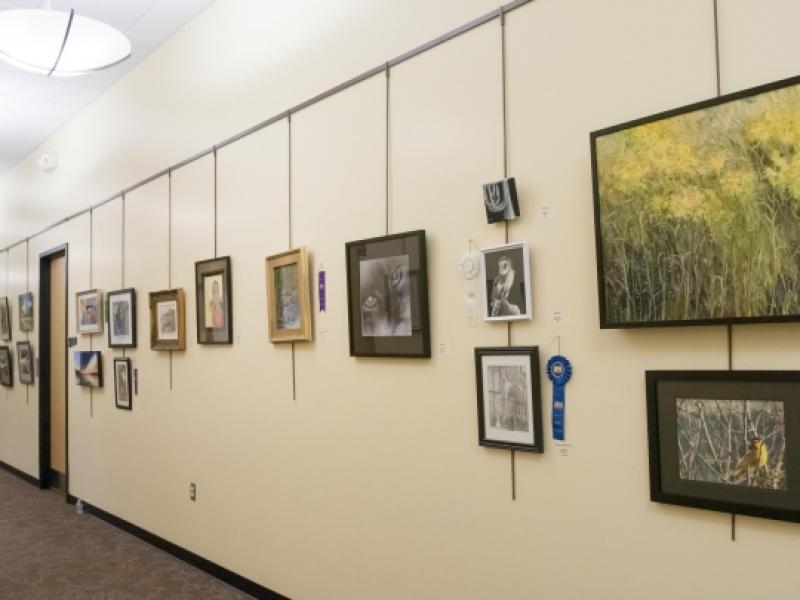 7th Annual Exhibit Artwork from the 7th Annual NAP Show on display at the Philip S. Miller Library in Front Range, CO