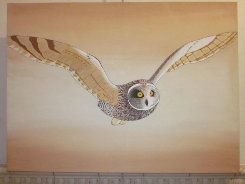 13th Annual Exhibit Owl