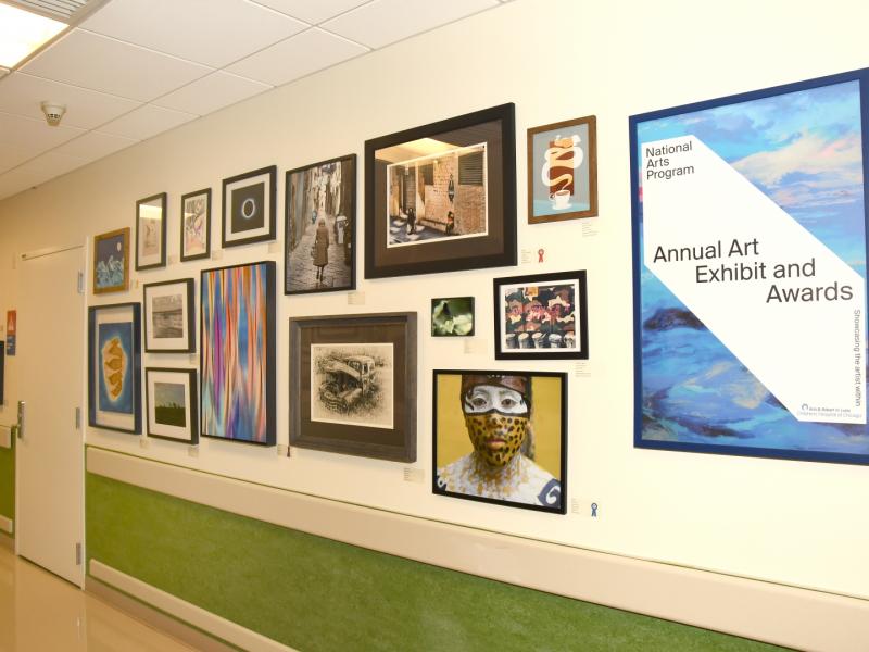 6th Annual Exhibit One of the many art filled hallways of Lurie Childrens Hospital