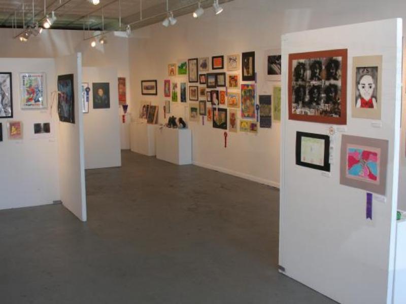 10th Annual Exhibit 2009 NAP Exhibition at the Arts Collinwood Gallery