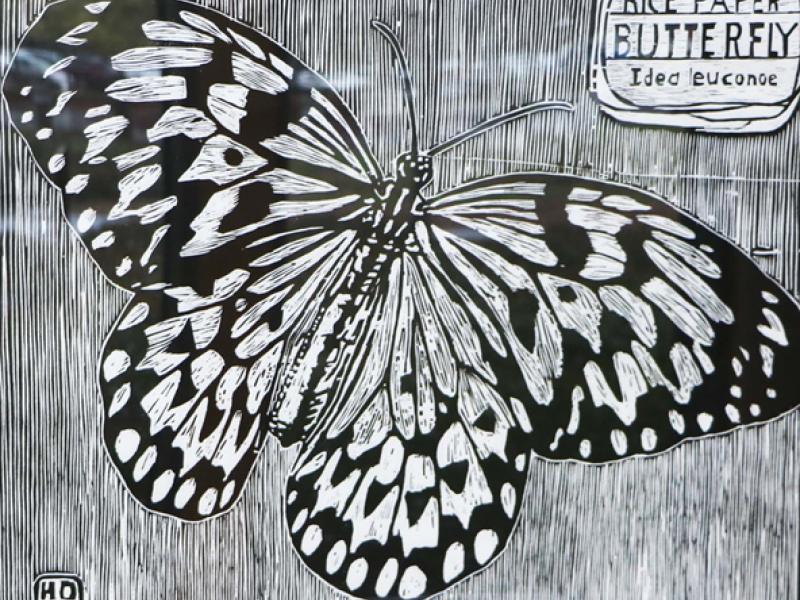 16th Annual Exhibit Rice Paper Butterfly