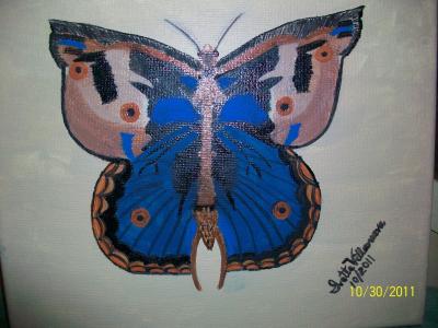Beautiful Butterfly!