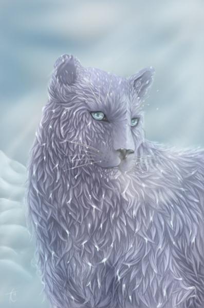 Snow Cat 