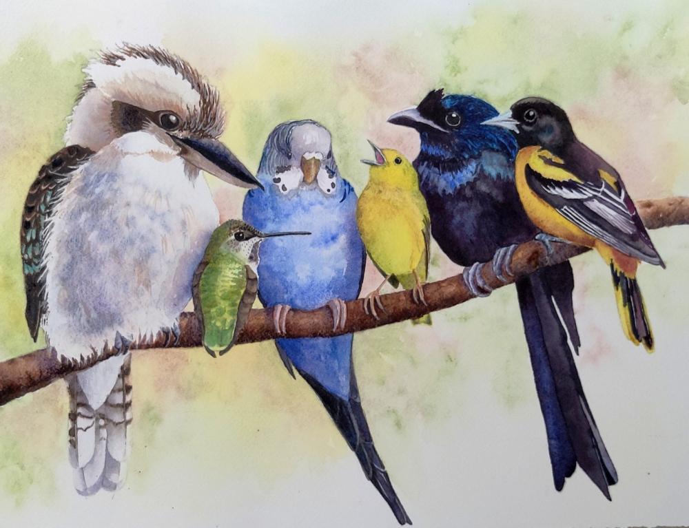 Birds of All Colors