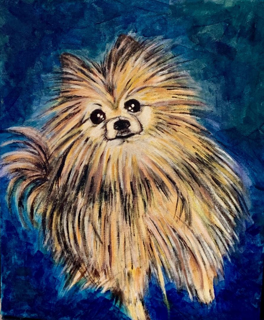 Acrylic Pet Painting