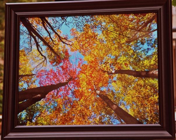 6th Annual Exhibit Splendid Fall Colors