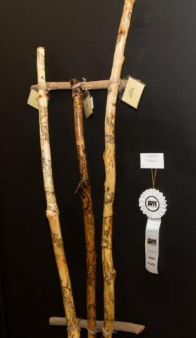 7th Annual Exhibit Personalized Walking Stick