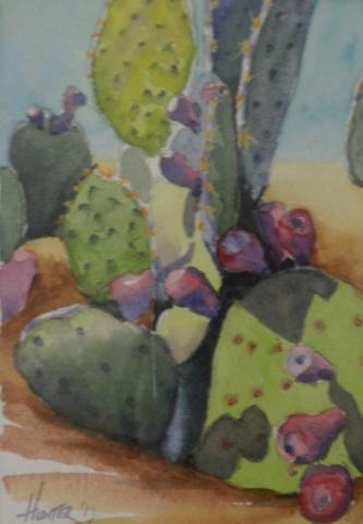 9th Annual Exhibit Prickly Pear Cactua