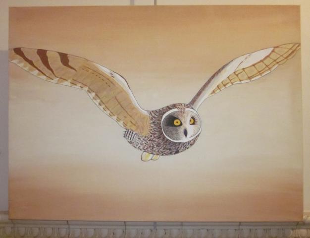 13th Annual Exhibit Owl