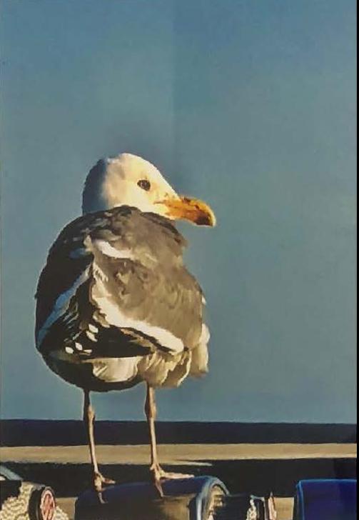 28th Annual Exhibit Seagull
