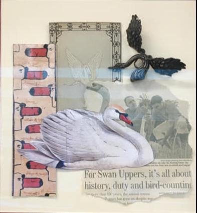 8th Annual Exhibit Queen Elizabeth's Annual Swan Upping