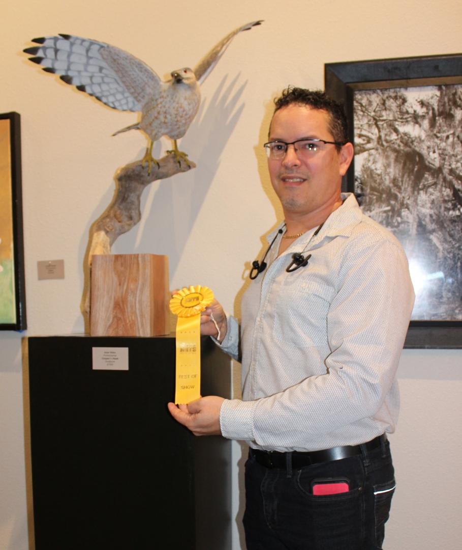 14th Annual Exhibit Cooper's Hawk