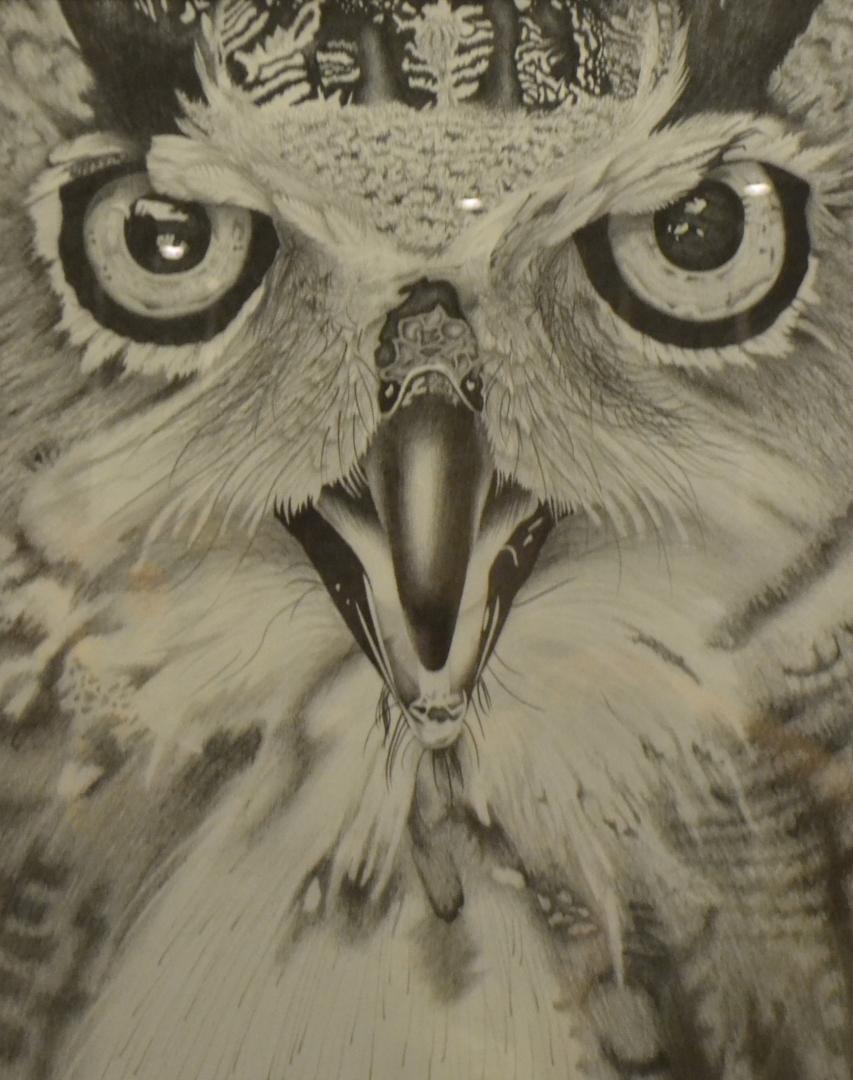 7th Annual Exhibit Owl