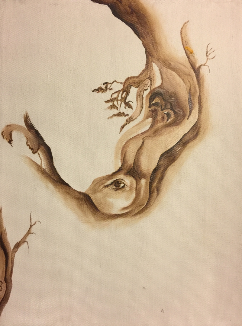“The Life Within a Tree”